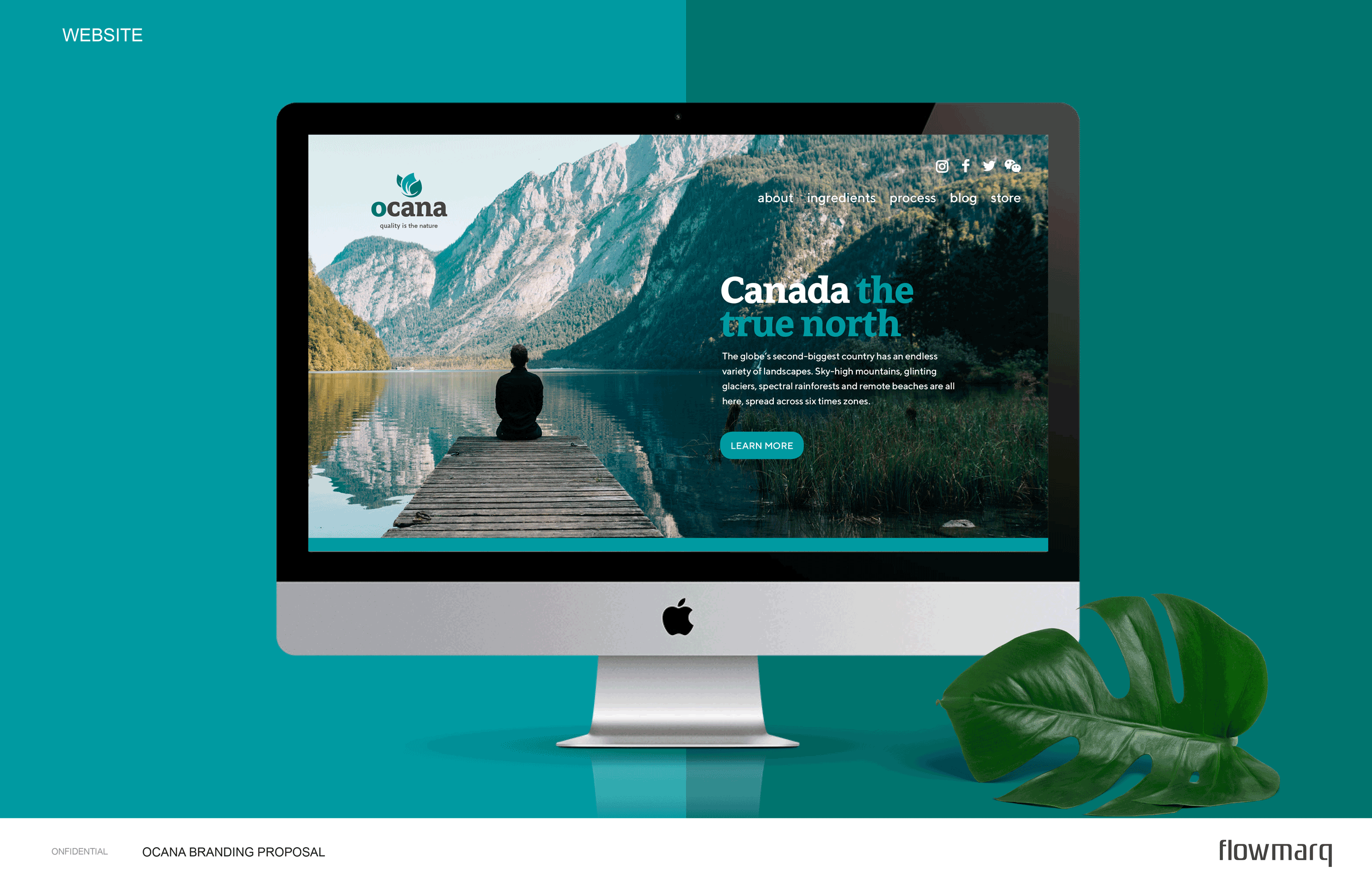 Ocana - Website Design 