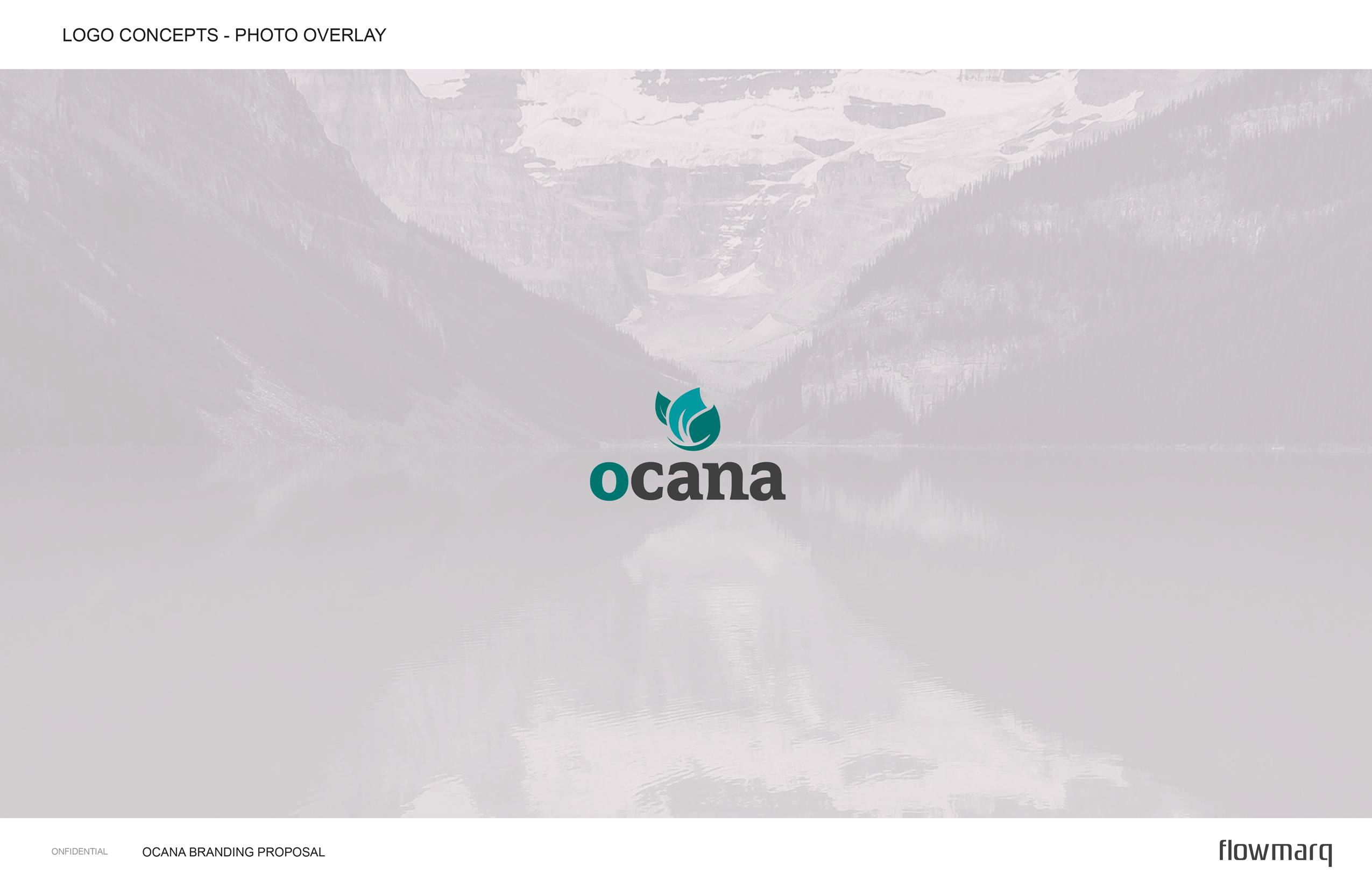 Ocana Logo Branding Design 